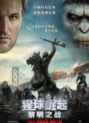 avav在线播放